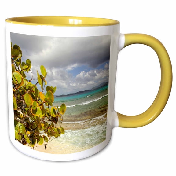 3drose, Usvi, St.thomas, St. John Bay, Sapphire Beach-ca37 Cmi0054 - Cindy Miller Hopkins, 11oz Two-tone Yellow Mug