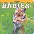 thumbnail image 1 of Pre-Owned Utah Babies! (Hardcover) 156037683X 9781560376835, 1 of 1
