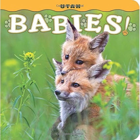 Pre-Owned Utah Babies! (Hardcover) 156037683X 9781560376835