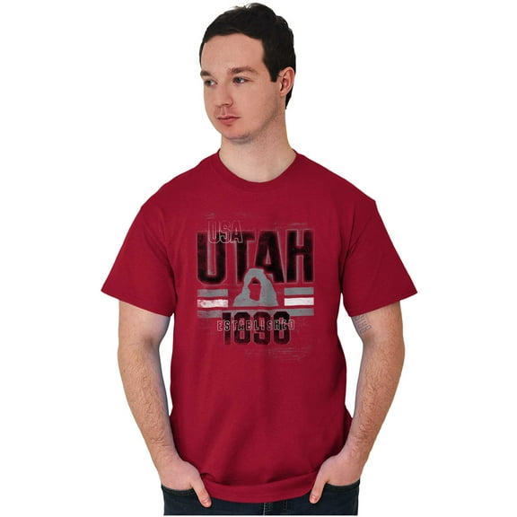 Utah Desert Mesa Cool Distressed UT Men's Graphic T Shirt Tees Brisco Brands S