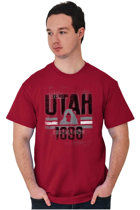 Utah Desert Mesa Cool Distressed UT Men's Graphic T Shirt Tees Brisco Brands X