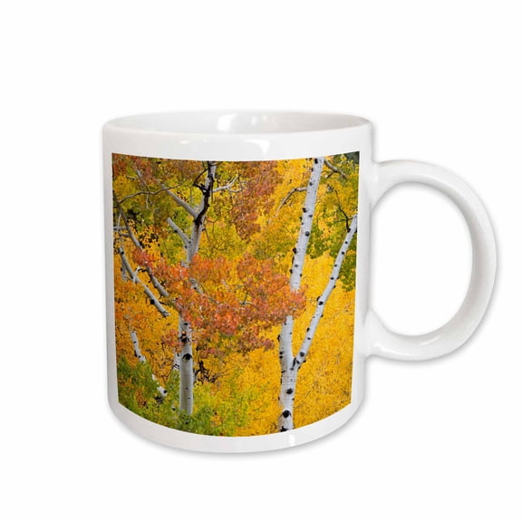 3drose, Utah, Dixie National Forest, Aspen Forest Along Highway 12 in Autumn, 11oz Mug