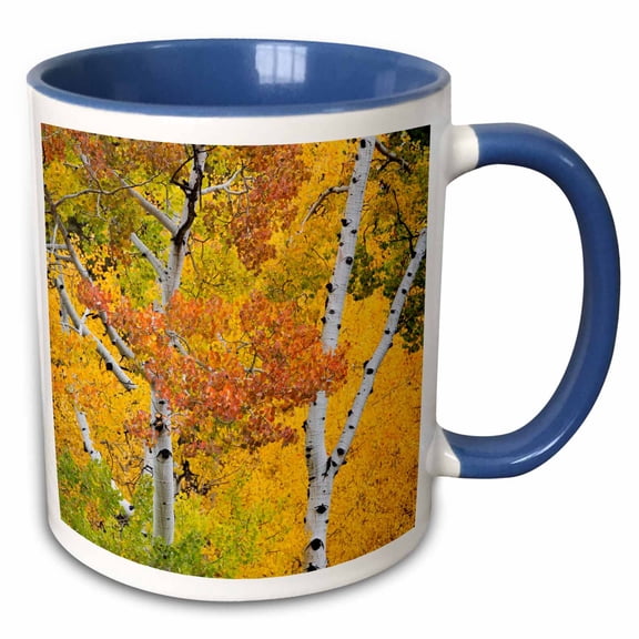 3drose, Utah, Dixie National Forest, Aspen Forest Along Highway 12 in Autumn, 11oz Two-tone Blue Mug