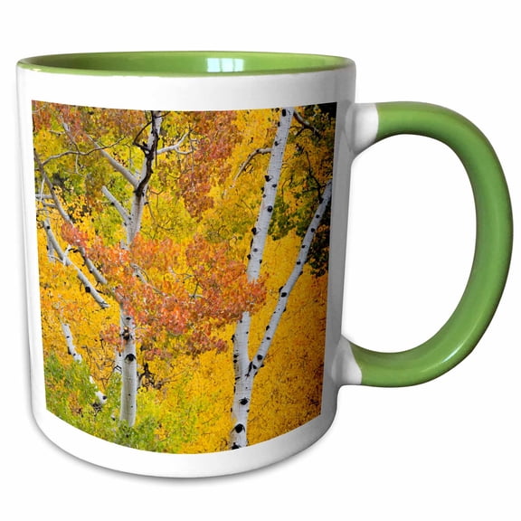 3drose, Utah, Dixie National Forest, Aspen Forest Along Highway 12 in Autumn, 11oz Two-tone Green Mug