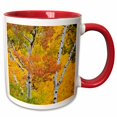 thumbnail image 1 of 3drose, Utah, Dixie National Forest, Aspen Forest Along Highway 12 in Autumn, 15oz Two-tone Red Mug, 1 of 6