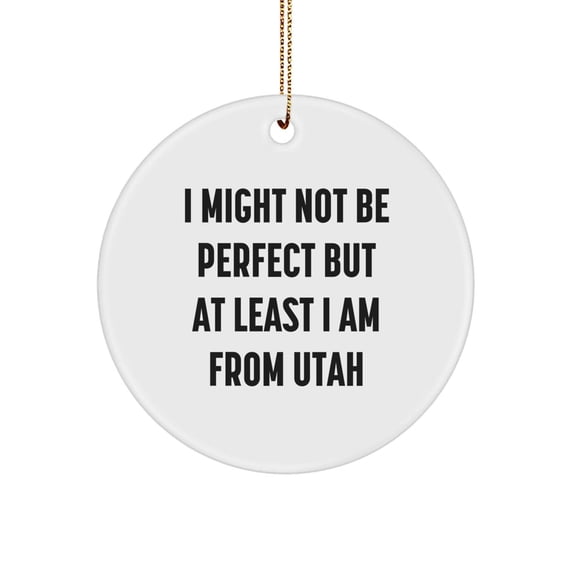 Utah Gifts, Unique Circle Ornaments for Christmas, 'I Might Not Be Perfect' Funny Quote, Gifts from Friends and Family