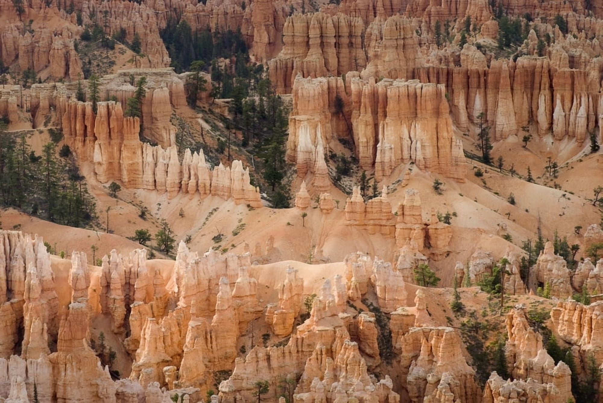 Utah United States Of America The Needles Of Bryce Canyon Canvas Art - Philippe Widling Design Pics (36 x 24)