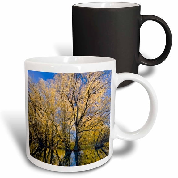 3drose, Utah, Usa, Peachleaf Willow Trees Reflected in Logan River., 11oz Magic Transforming Mug