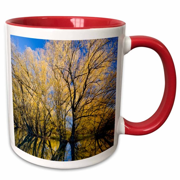 3drose, Utah, Usa, Peachleaf Willow Trees Reflected in Logan River., 11oz Two-tone Red Mug
