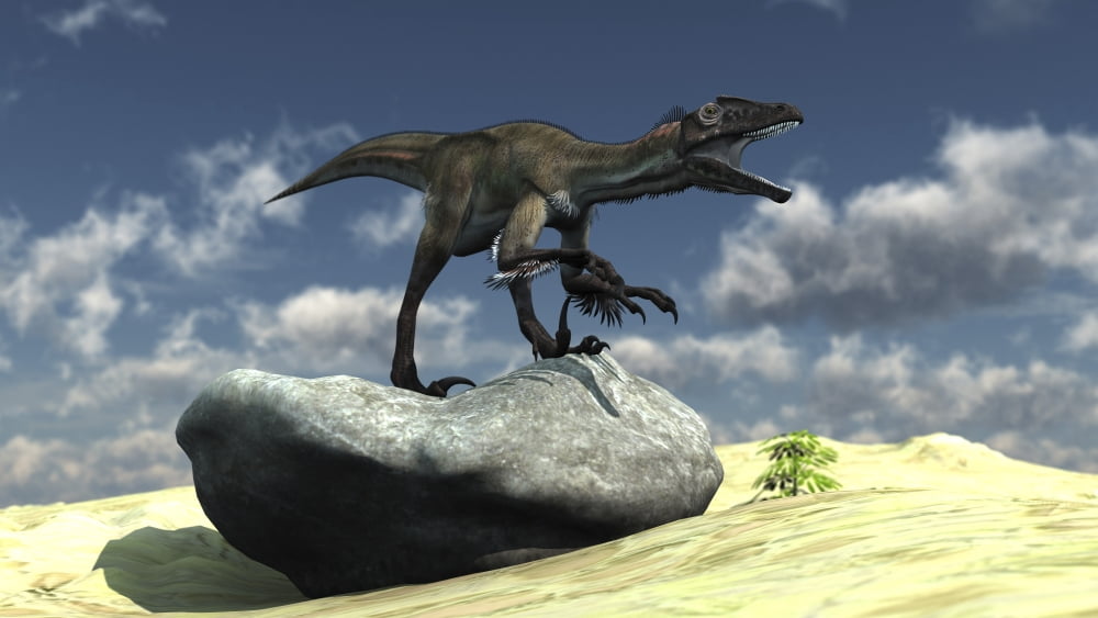 Utahraptor bellows a loud roar while standing atop a rock Canvas Art - Kostyantyn IvanyshenStocktrek Images (38 x 22)