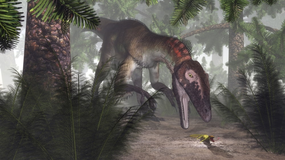 Utahraptor dinosaur hunting a gecko Canvas Art - Elena DuvernayStocktrek Images (19 x 11)