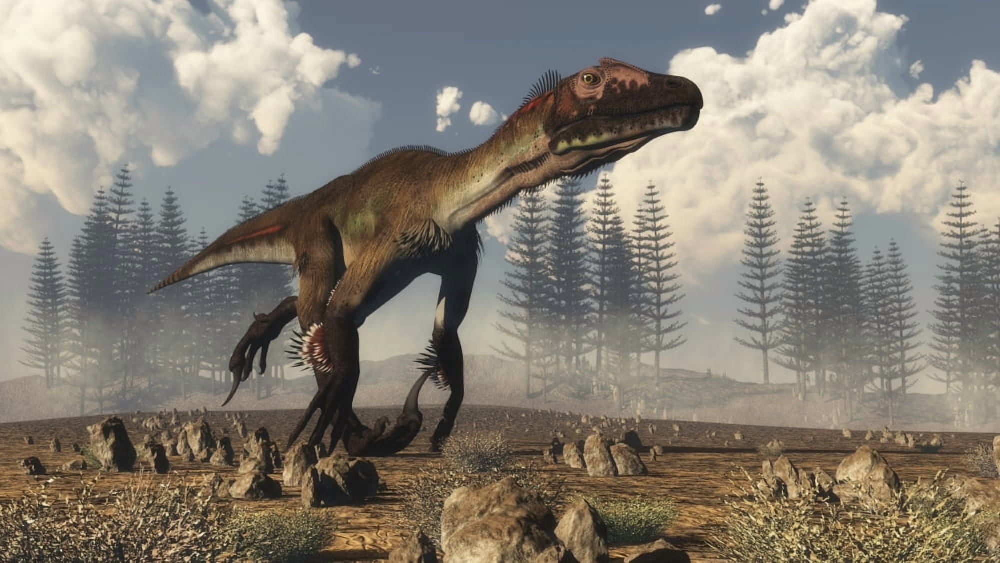 Utahraptor dinosaur running in the desert Canvas Art - Elena DuvernayStocktrek Images (37 x 21)