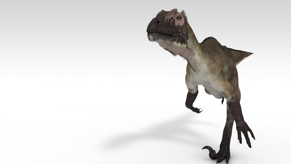 Utahraptor dinosaur white background Canvas Art - Kostyantyn IvanyshenStocktrek Images (38 x 22)