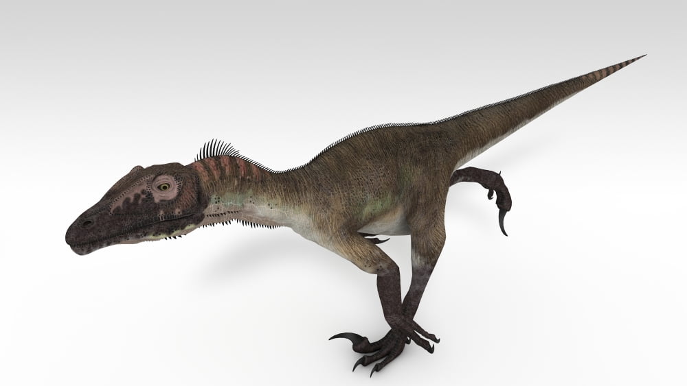 Utahraptor dinosaur white background Canvas Art - Kostyantyn IvanyshenStocktrek Images (38 x 22)