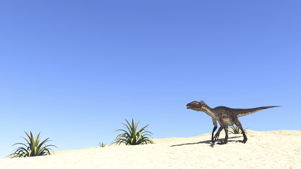 Utahraptor in a desert landscape Canvas Art - Kostyantyn IvanyshenStocktrek Images (19 x 11)