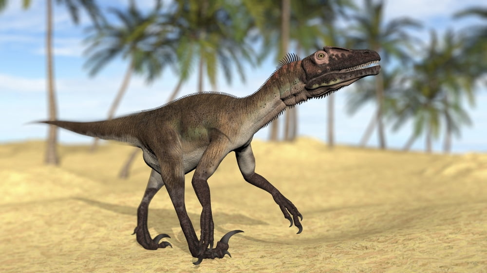 Utahraptor in a prehistoric environment Canvas Art - Kostyantyn IvanyshenStocktrek Images (19 x 11)