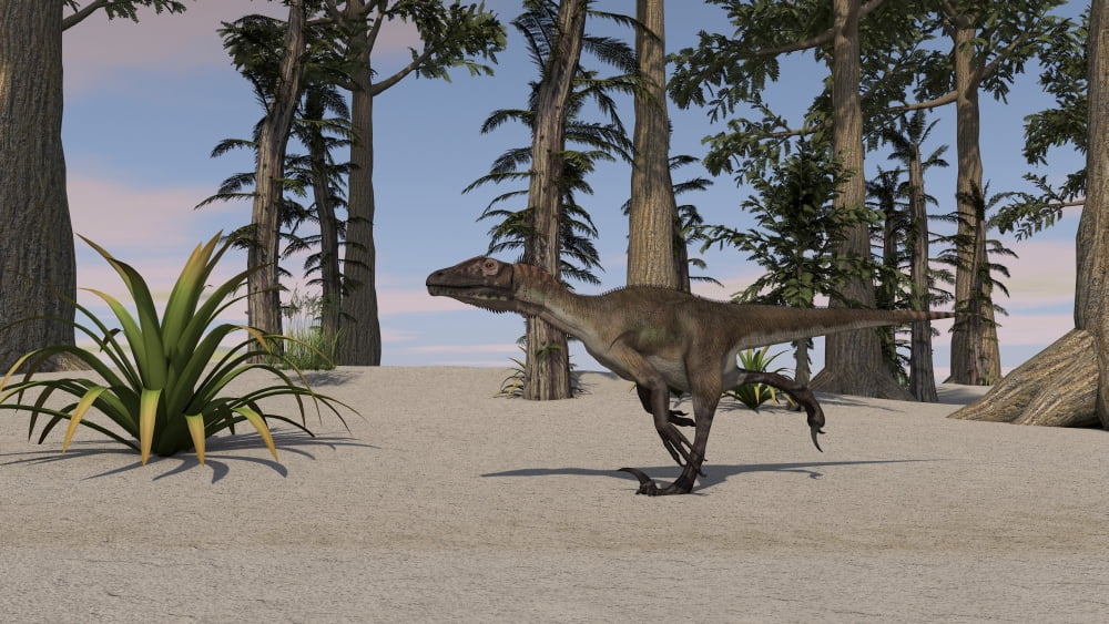 Utahraptor in a prehistoric environment Canvas Art - Kostyantyn IvanyshenStocktrek Images (19 x 11)