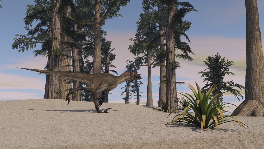 Utahraptor in a prehistoric environment Canvas Art - Kostyantyn IvanyshenStocktrek Images (19 x 11)