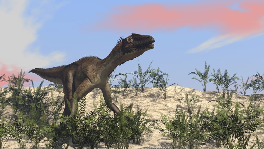 Utahraptor in an arid climate Canvas Art - Kostyantyn IvanyshenStocktrek Images (19 x 11)