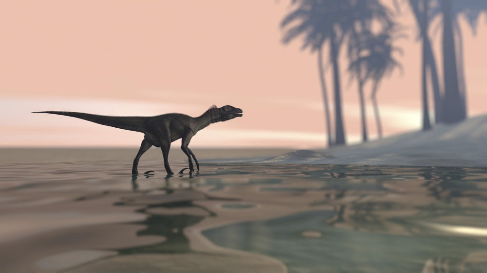 Utahraptor in shallow water Canvas Art - Kostyantyn IvanyshenStocktrek Images (19 x 11)