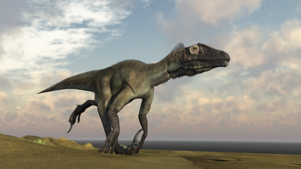 Utahraptor running across a barren desert Canvas Art - Kostyantyn IvanyshenStocktrek Images (38 x 22)