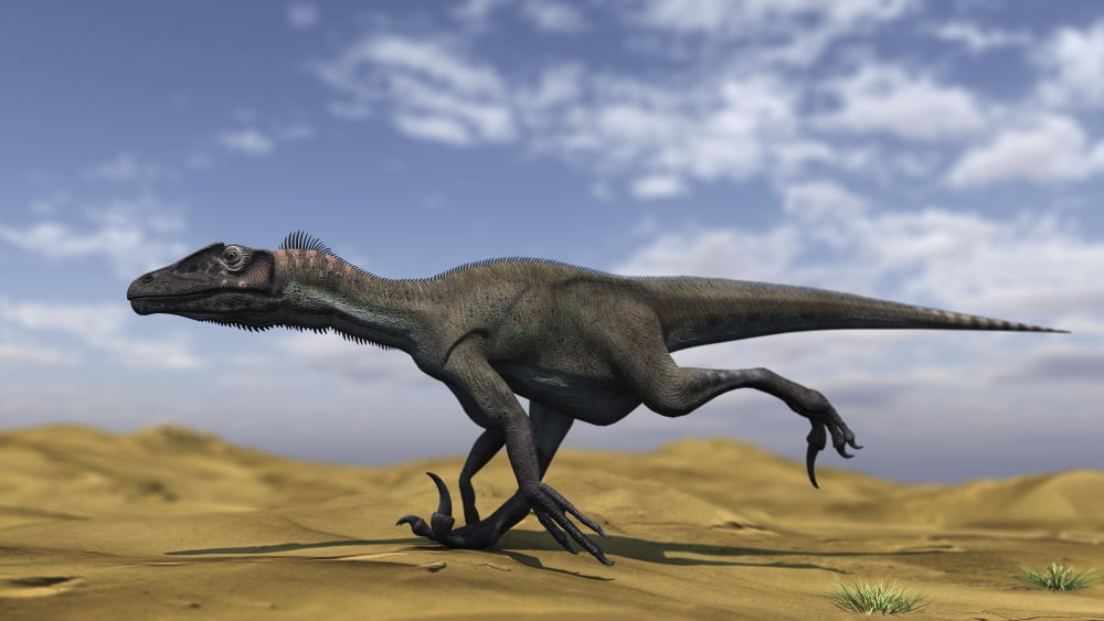 Utahraptor running across a barren desert Canvas Art - Kostyantyn IvanyshenStocktrek Images (38 x 22)