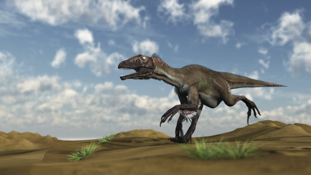 Utahraptor running across a desert Canvas Art - Kostyantyn IvanyshenStocktrek Images (38 x 22)