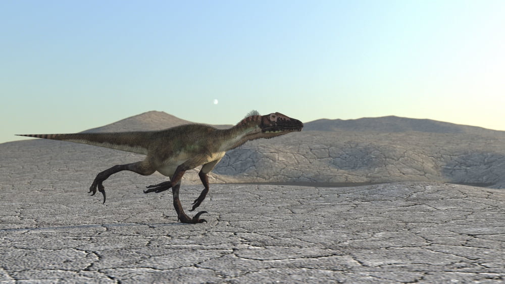 Utahraptor running across a desert landscape Canvas Art - Kostyantyn IvanyshenStocktrek Images (19 x 11)