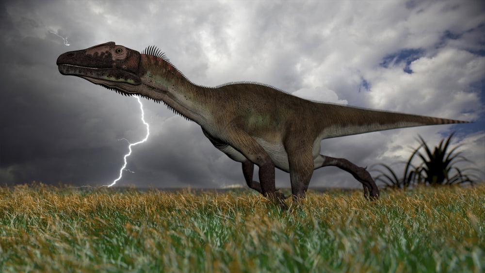 Utahraptor running across an open field during a lightning storm Canvas Art - Kostyantyn IvanyshenStocktrek Images (19 x 11)