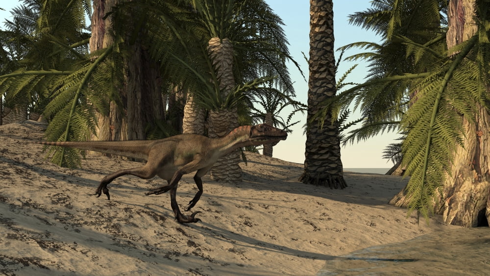 Utahraptor running in a prehistoric environment Canvas Art - Kostyantyn IvanyshenStocktrek Images (38 x 22)