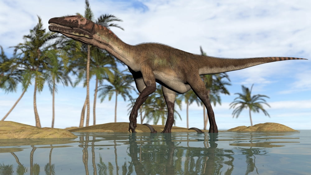 Utahraptor standing in shallow water Canvas Art - Kostyantyn IvanyshenStocktrek Images (19 x 11)