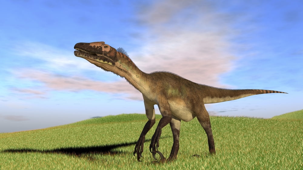 Utahraptor walking across a grassy field Canvas Art - Kostyantyn IvanyshenStocktrek Images (38 x 22)
