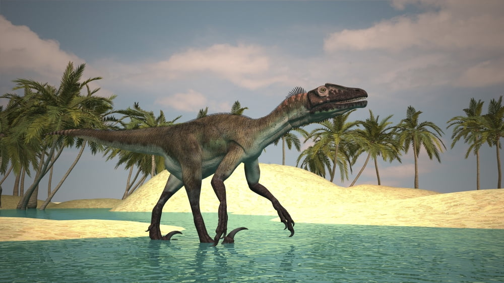 Utahraptor walking across a riverbed Canvas Art - Kostyantyn IvanyshenStocktrek Images (19 x 11)