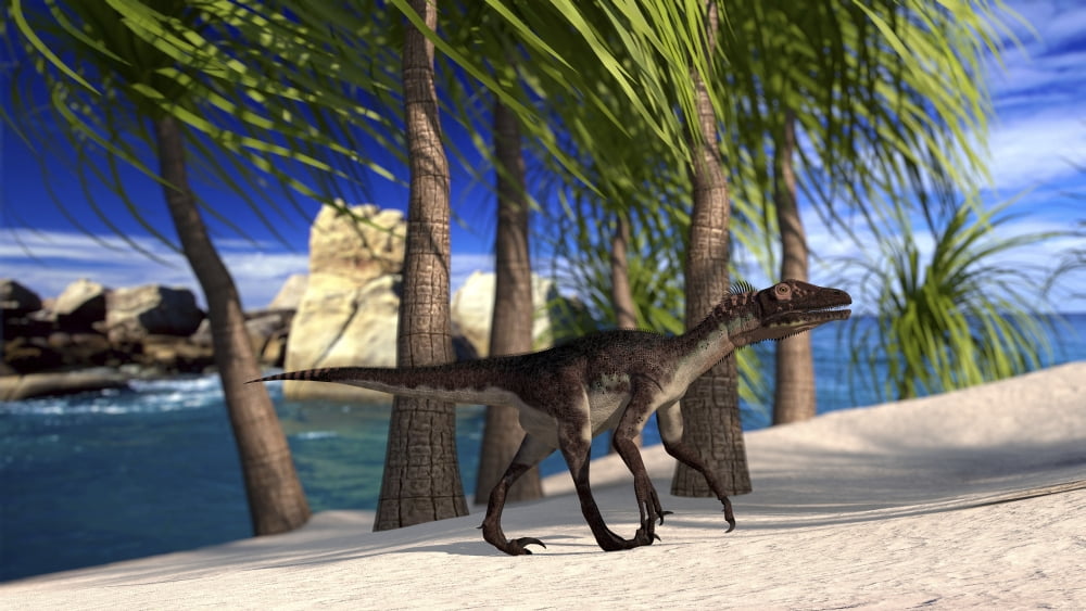 Utahraptor walking along the shore Canvas Art - Kostyantyn IvanyshenStocktrek Images (19 x 11)