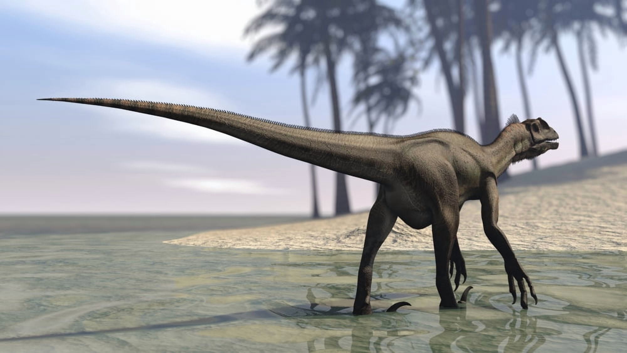 Utahraptor walking in shallow water Canvas Art - Kostyantyn IvanyshenStocktrek Images (19 x 11)