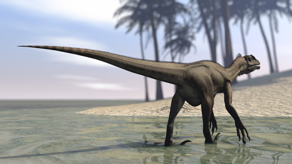 Utahraptor walking in shallow water Canvas Art - Kostyantyn IvanyshenStocktrek Images (38 x 22)