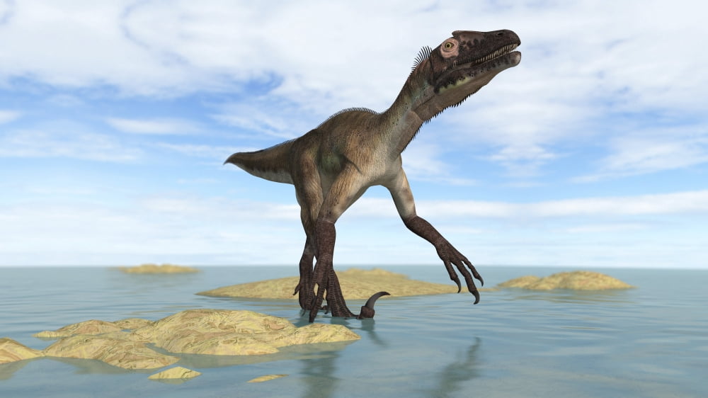 Utahraptor walking through prehistoric waters Canvas Art - Kostyantyn IvanyshenStocktrek Images (19 x 11)