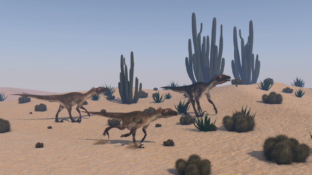 Utahraptors roaming a desert environment Canvas Art - Kostyantyn IvanyshenStocktrek Images (19 x 11)