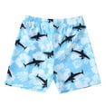 thumbnail image 1 of Utlike Boys Swim Trunks Swimming Swimsuit Beach Suit Shorts Cartoon Baby Swim Toddler Bathing Boys Swimwear Size 3 Years-4 Years, 1 of 7