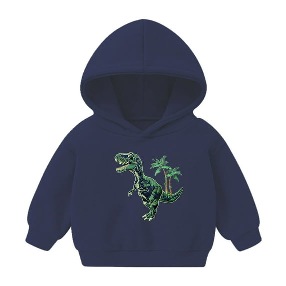 Utoimkio Toddler Kid Boy Girls Cute Dinosaur Print Hoodie Sweatshirt Pullover Long Sleeve Pullover Top Fall Blouses for Kids