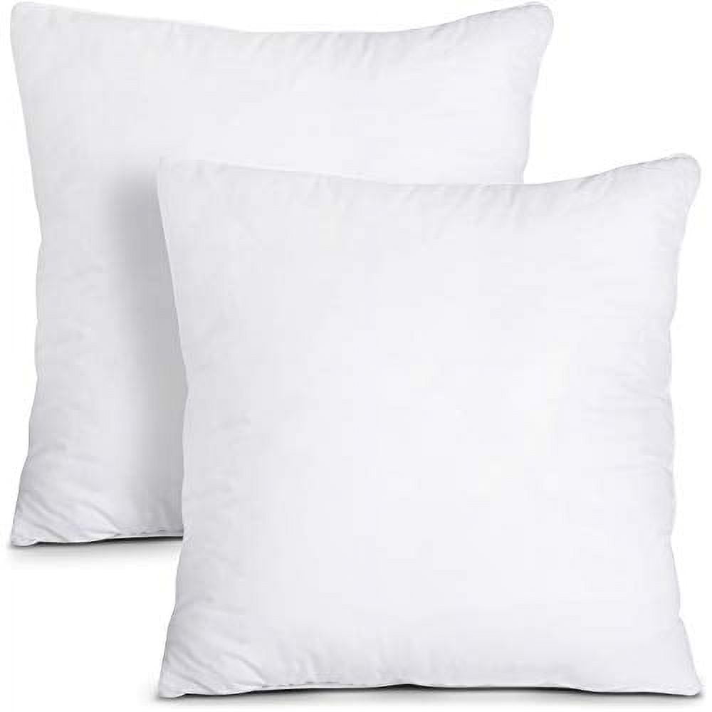 Utopia Bedding Throw Pillows Insert (Pack of 2, White) - 22 x 22 Inches Bed  and Couch Pillows - Indoor Decorative Pillows 