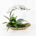 thumbnail image 1 of Uttermost Transcend Orchid Centerpiece, 1 of 3