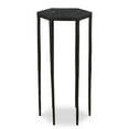 thumbnail image 1 of Uttermost Aviary Hexagonal Accent Table in Black, 1 of 5