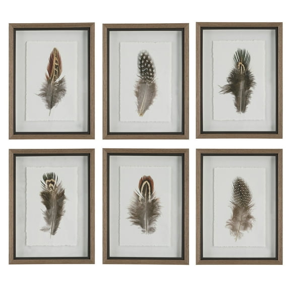 Uttermost Birds Of A Feather Plastic & Paper Prints in Brown/White (Set of 6)