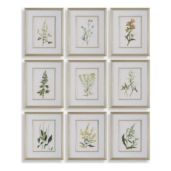Uttermost Botanical Flowers Framed Prints in Multi-Color (Set of 9)
