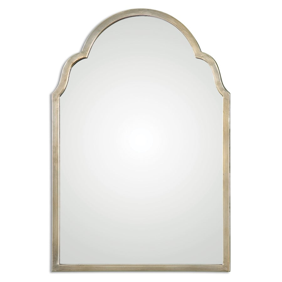 Transitional Silver Champagne Oxidized 20"x30" Rectangular Wall Mirror