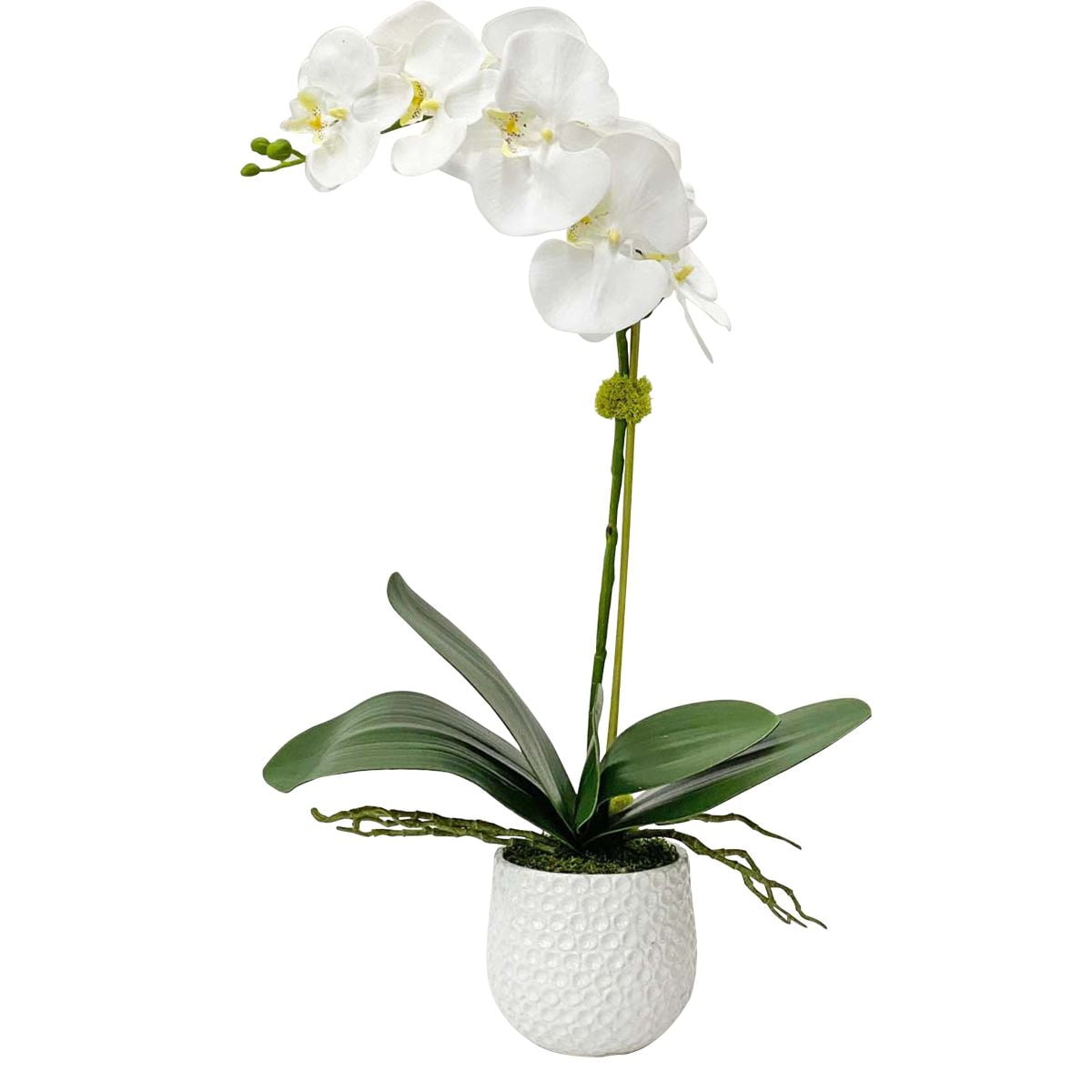 Uttermost Cami Coastal Polyester Ceramic and Bamboo Orchid in White