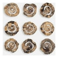 thumbnail image 1 of Uttermost Corkscrew Wood Wall Decor in Natural (Set of 9), 1 of 5