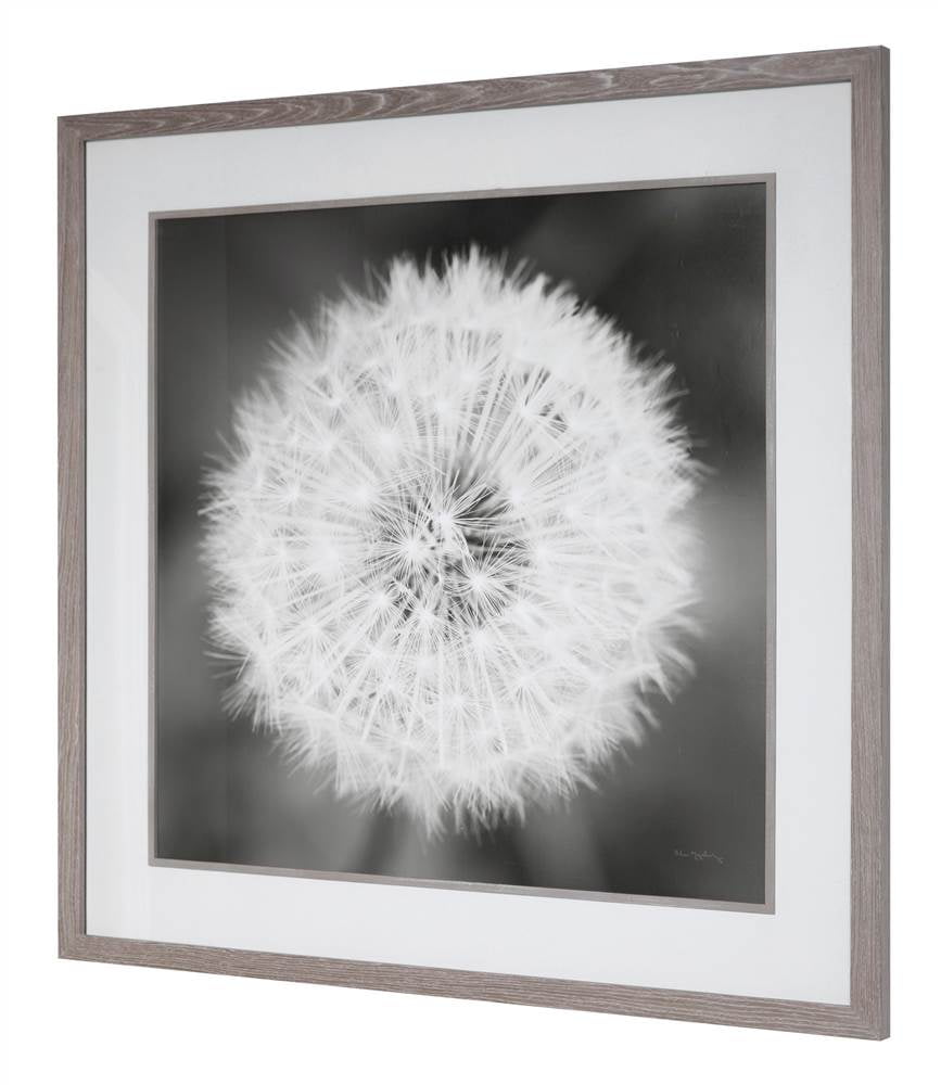 Large Black and White Dandelion Canvas Print with Driftwood Frame