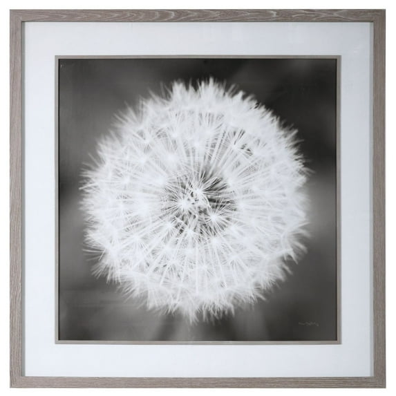 Uttermost Dandelion Seedhead Wood and Glass Framed Print in Black/White
